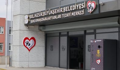 Bandırma’da sokak hayvanlarına ücretsiz tedavi hizmeti  
