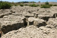 Araştırmalar, Ege Bölgesi’nde 2041-2070 yıl aralığında 14 ay ve 2041-2100