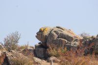 Kırklareli’nde bulunan ve halk arasında “Maymun Kaya” olarak adlandırılan kaya