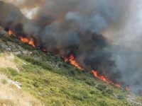 Muğla’nın Seydikemer ilçesinde ziraat ve makilik alanda başlayan yangına havadan
