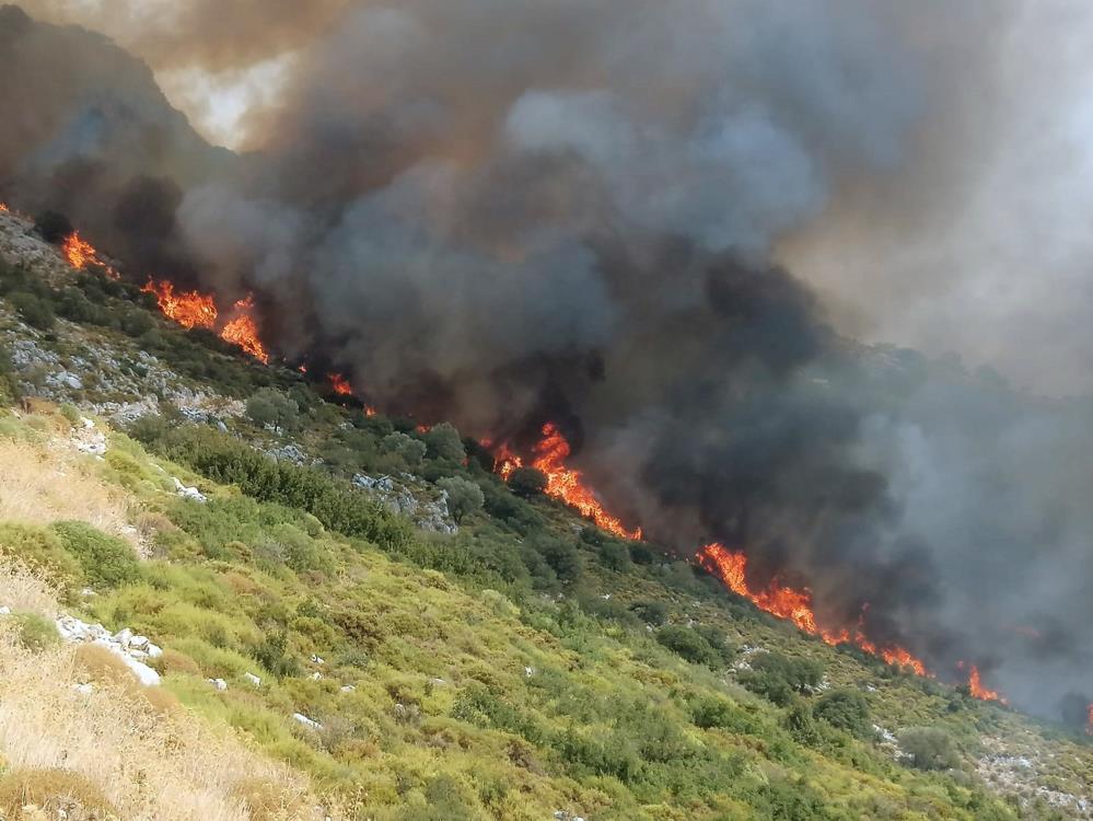 Muğla’da orman yangını Muğla’nın Seydikemer ilçesinde ziraat ve makilik alanda başlayan yangına havadan