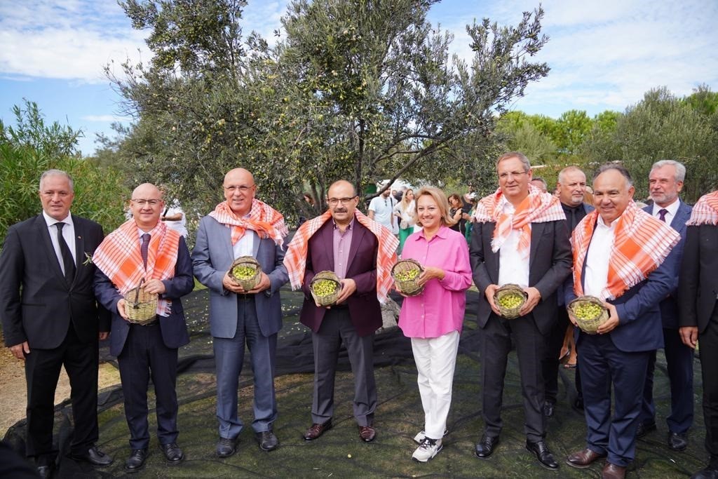 Ayvalık zeytinine uluslararası festival hasatı AYVALIK ZEYTİNİNE ULUSLARARASI FESTİVAL HASATI