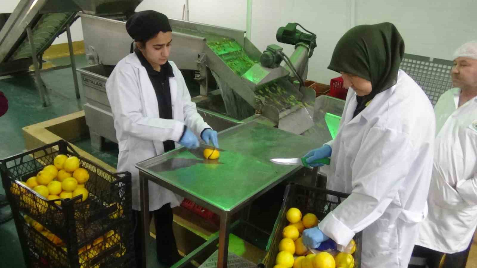 Ayvalık'ta iki kadın girişimci gerçekleştirdikleri projeyi hayata geçirerek, Ayvalık’ın zeytinleri