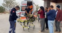 MANİSA'NIN ALAŞEHİR İLÇESİNDE SABAH SAATLERİNDE KESTANE TOPLAMAYA GİDEN BABASININ KULLANDIĞI