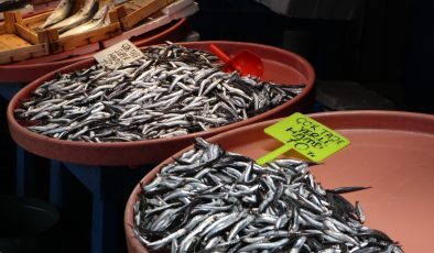 Bandırma’da bu hafta balık fiyatları nasıl?