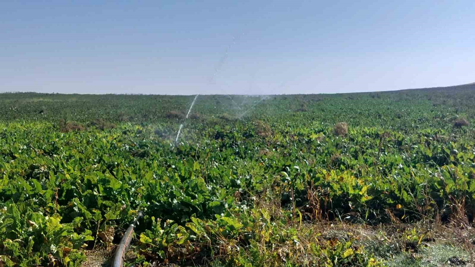 ESKİŞEHİR İL TARIM VE ORMAN MÜDÜRLÜĞÜ TARIMSAL FAALİYETLER İÇİN GELİŞTİRİLEN