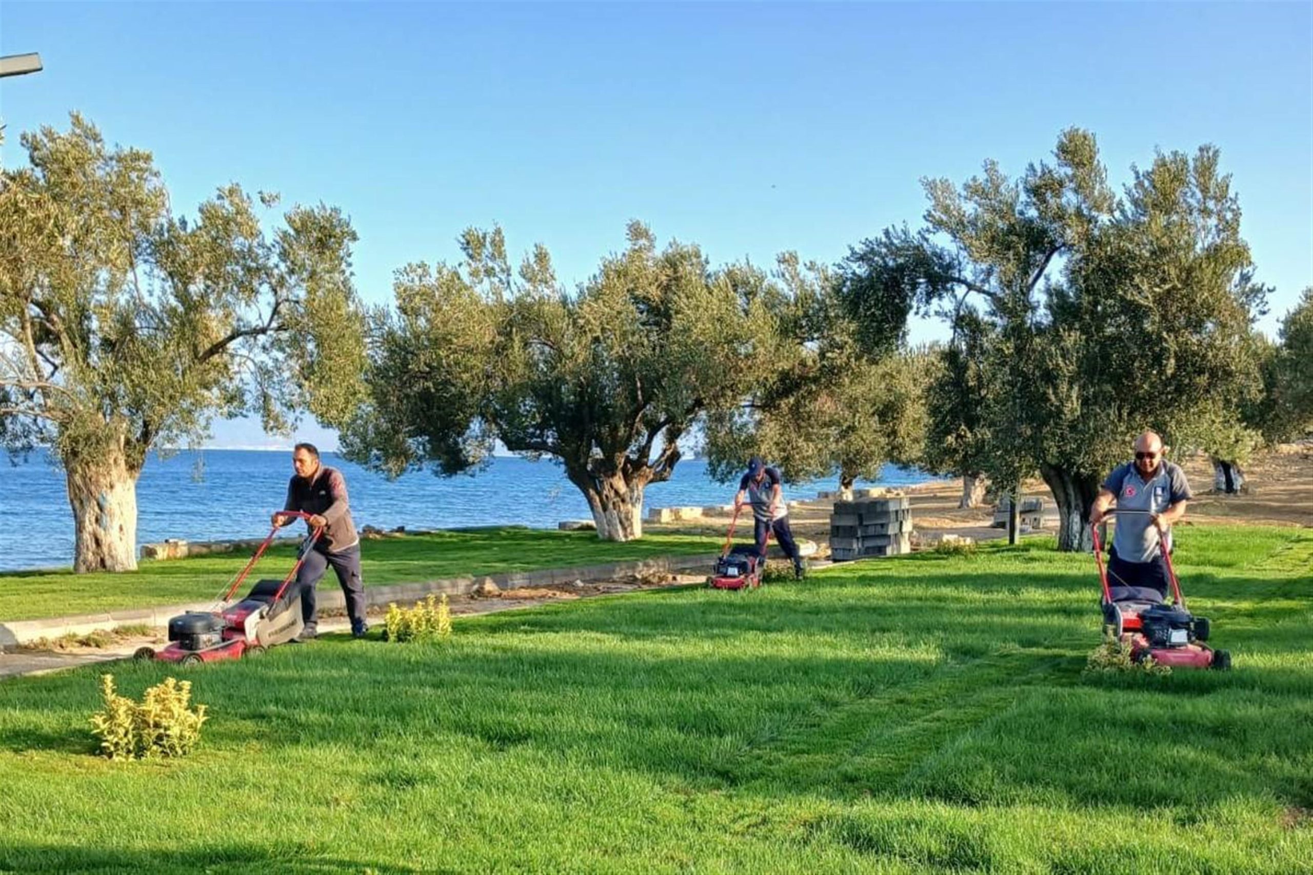 Balıkesir Büyükşehir Belediyesi ekipleri; park, dönel kavşak, refüj, yeşil alan