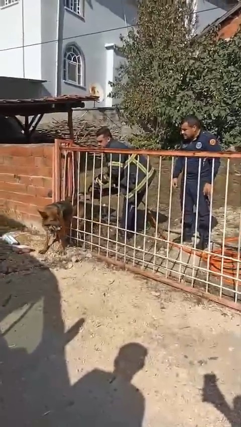Demir kapıya sıkışan köpeği itfaiye kurtardı BURSA’DA BİR EVİN BAHÇESİNDEKİ DEMİR KAPIYA SIKIŞAN KÖPEĞİ, SAHİBİNİN İHBARI
