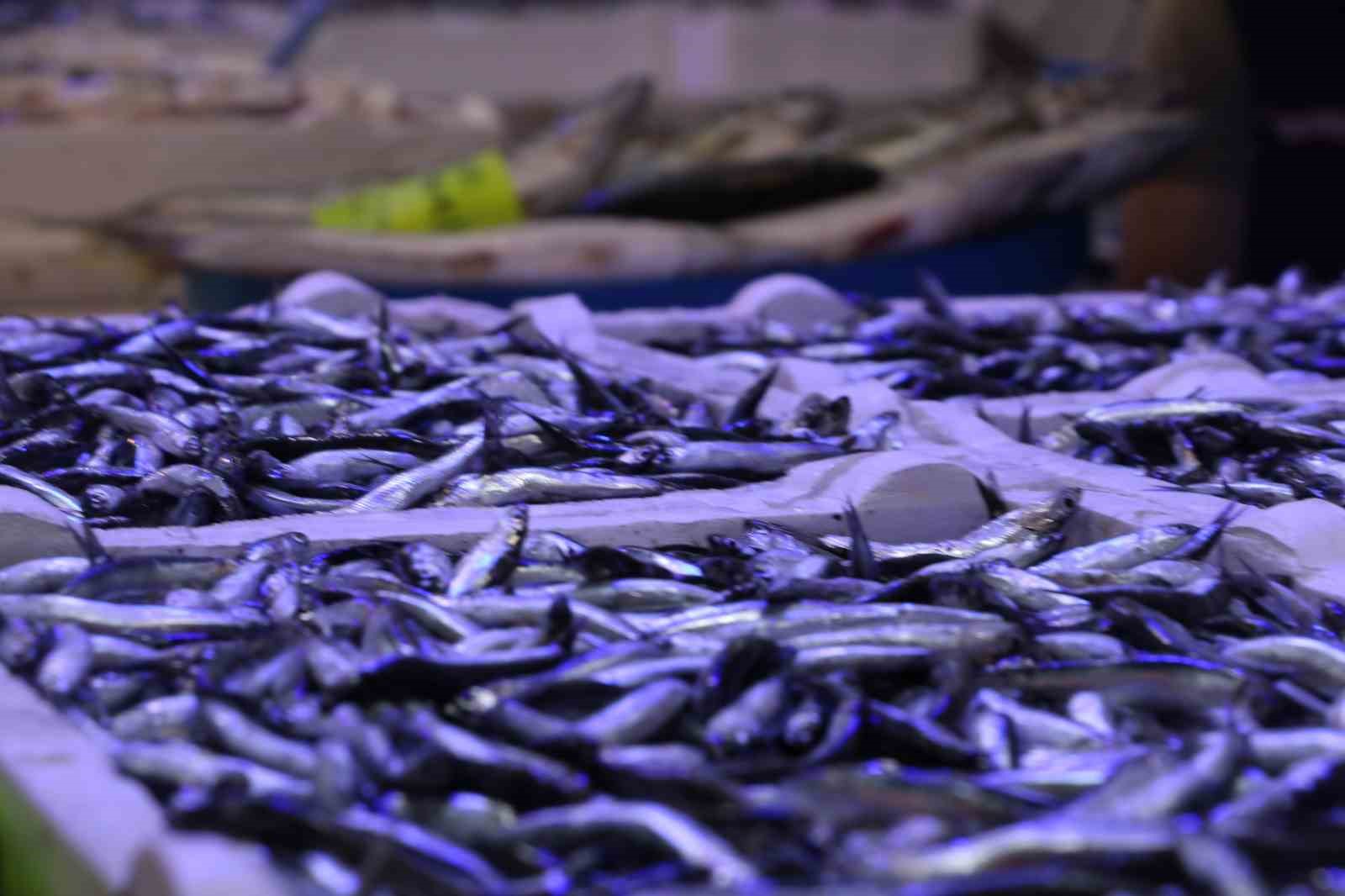Deniz suyu soğumaya, balık tezgâhları şenlenmeye başladı RİZE’DE DENİZ SICAKLARININ DÜŞMESİYLE BERABER, BALIK TEZGÂHLARI DA ŞENLENMEYE BAŞLADI.