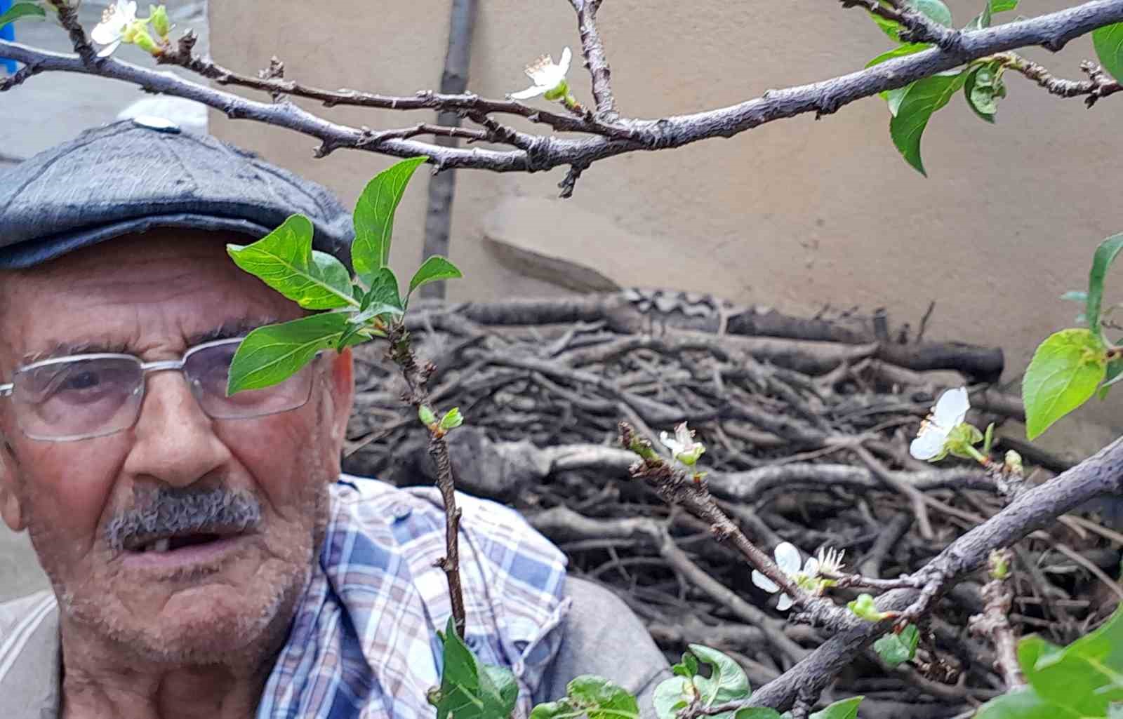 Erik mevsimleri şaşırdı, aynı yılda ikinci ürünü veriyor AYDIN’IN ÇİNE İLÇESİ KIRSAL AKÇAOVA MAHALLESİ ÇÖMLEKÇİ MEVKİİNDE ERİK AĞACI