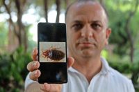 AVRUPA’DA BAZI ÜLKELERİN KABUSU HALİNE GELEN TAHTAKURULARIYLA İLGİLİ TÜRKİYE’NİN FARKLI