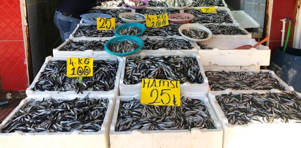 Rize’nin Pazar ilçesinde balıkçı esnafı hamsi satışların kampanya yaparak18 kiloluk