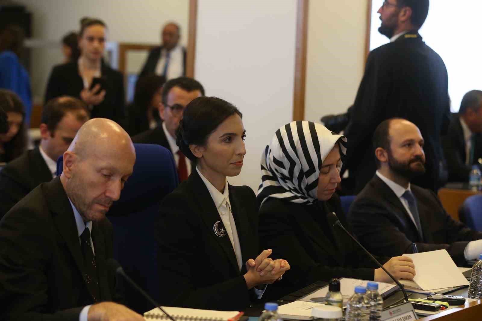 TCMB BAŞKANI ERKAN, TÜRKİYE BÜYÜK MİLLET MECLİSİ (TBMM) PLAN VE
