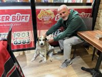 PİTBULL CİNSİ KÖPEĞİNİ SOKAK KÖPEKLERİNİN ÜZERİNE SALDI, TEPKİ GÖSTEREN VATANDAŞA