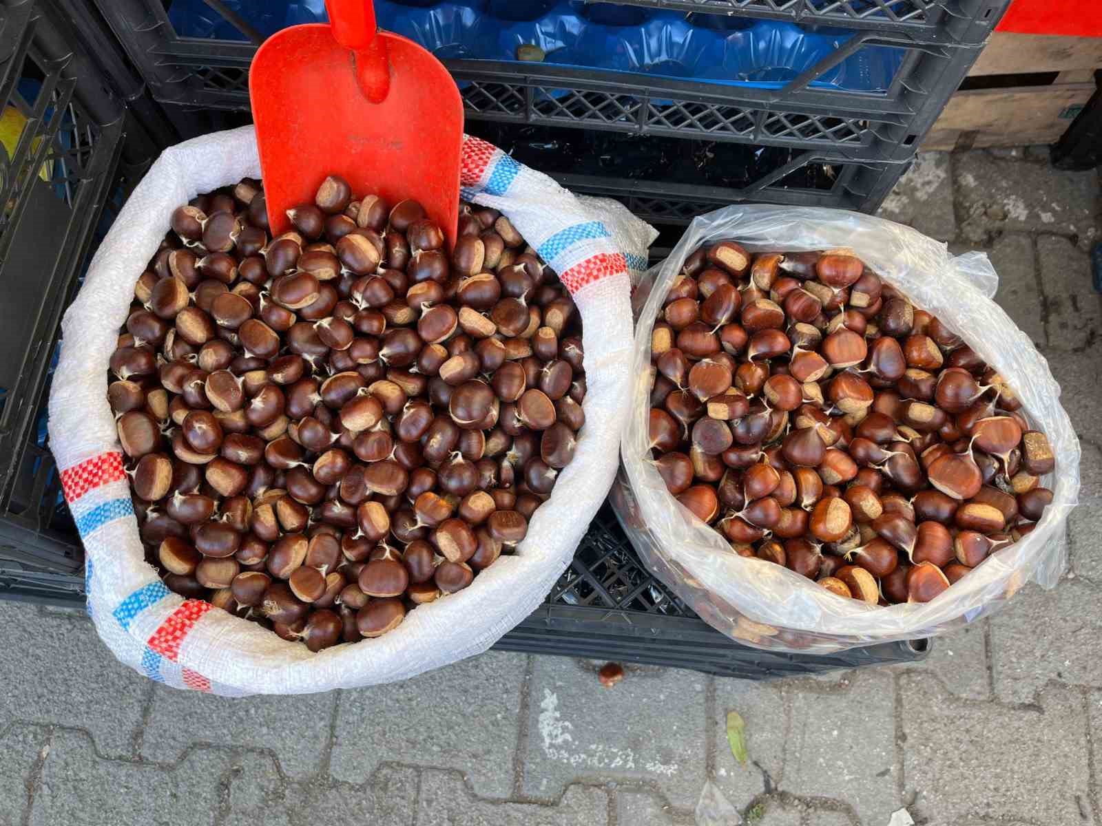 KESTANENİN KİLOSU 250 LİRA (RIFAT YILMAZ/SİNOP-İHA)