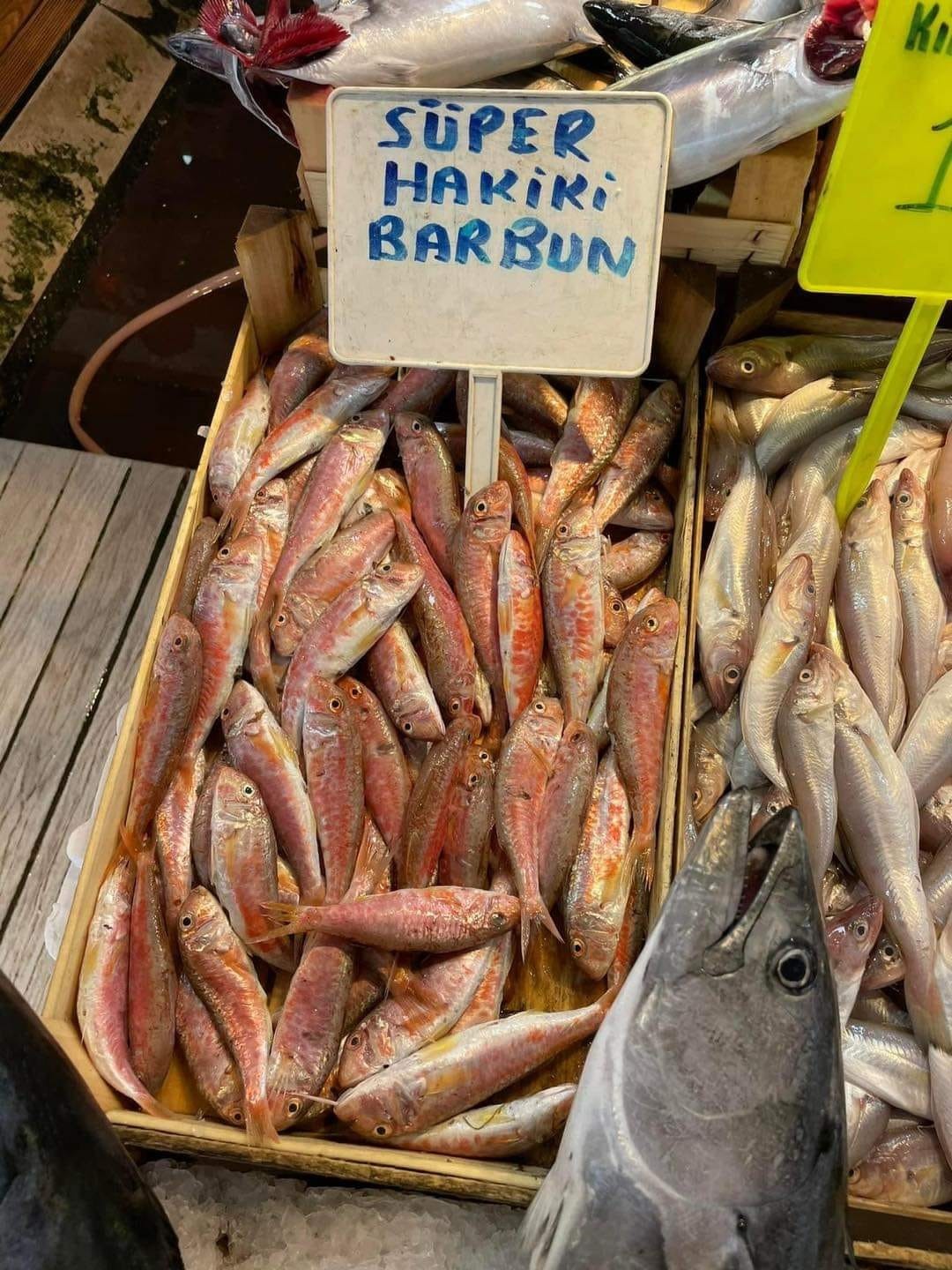 MARMARA VE EGE DENİZLERİNDE TUTULAN BALIKLARIN ARTMASI İLE BALIKESİR MERKEZDE