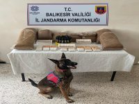 Balıkesir’de jandarma ekipleri il genelinde kaçak tütün operasyonu yaptı. Jandarma