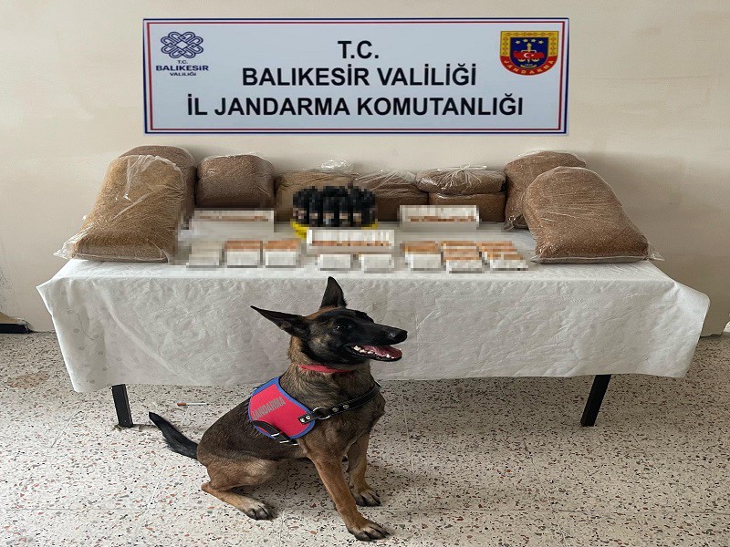 Balıkesir’de jandarma ekipleri il genelinde kaçak tütün operasyonu yaptı. Jandarma