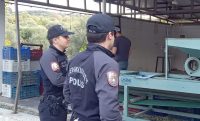 EDREMİT İLÇESİNDE ZEYTİNCİNİN KORKULU RÜYASI HIRSIZLIK OLAYLARI İLE İLGİLİ OLARAK