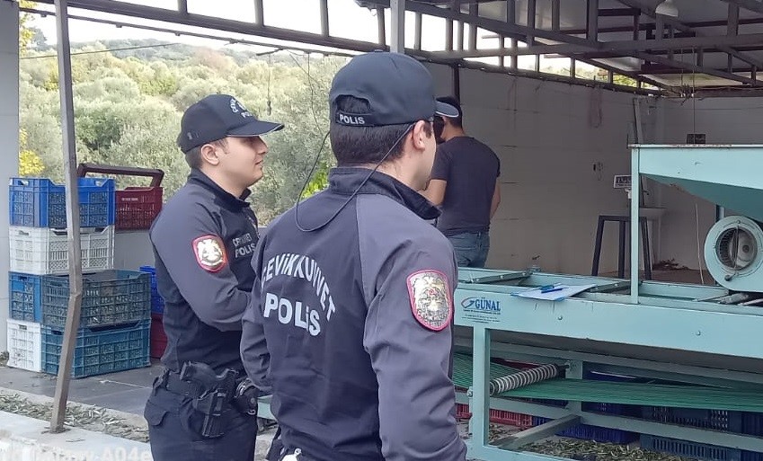 EDREMİT İLÇESİNDE ZEYTİNCİNİN KORKULU RÜYASI HIRSIZLIK OLAYLARI İLE İLGİLİ OLARAK