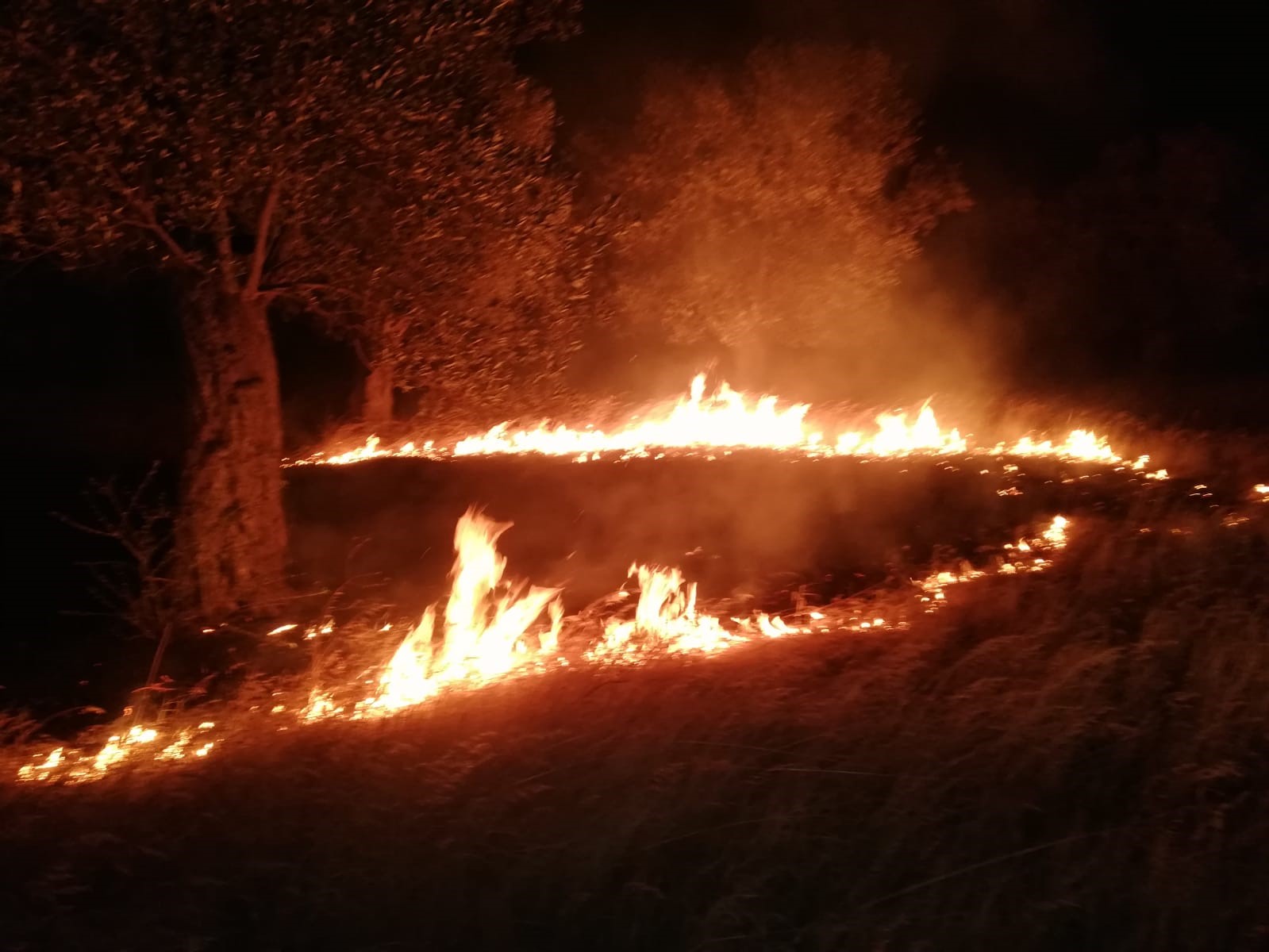 Zeytinlik alandaki örtü yangını söndürüldü BALIKESİR’İN HAVRAN İLÇESİ’NDE ZEYTİNLİK ALANDA ÇIKAN ÖRTÜ YANGINI İTFAİYENİN ÇALIŞMASIYLA