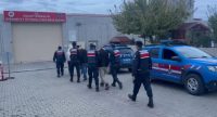 Ayvalık’ta jandarma tarafından yapılan operasyonda 16 düzensiz göçmen ve onları