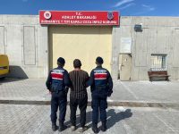 Edremit’te zeytin çalarken jandarma tarafından suçüstü yakalanan hırsız, tutuklanarak cezaevine