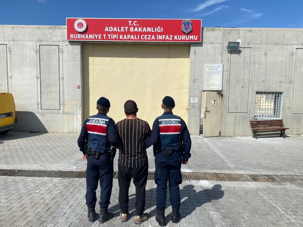 Edremit’te zeytin çalarken jandarma tarafından suçüstü yakalanan hırsız, tutuklanarak cezaevine