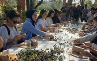 Balıkesir Üniversitesi Burhaniye Uygulamalı Bilimler Fakültesi (BUBFA) Gastronomi ve Mutfak