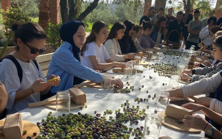 Balıkesir Üniversitesi Burhaniye Uygulamalı Bilimler Fakültesi (BUBFA) Gastronomi ve Mutfak