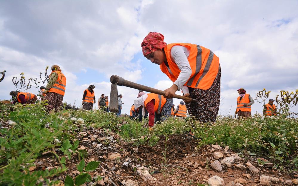 Balıkesir Orman Bölge Müdürlüğü yürüttüğü ormancılık faaliyetlerinde orman köylüsünü istihdam