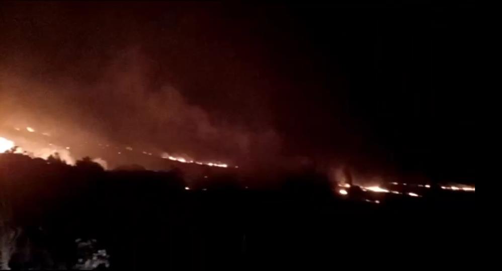 Kepsut’ta orman yangını çıktı.