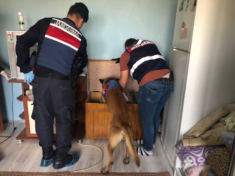 Balıkesir İl Jandarma Komutanlığına bağlı asayiş ve trafik ekipleri genel