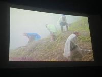Bandırma’da ilk Ekoloji Film Festivali seyirciyle buluştu 