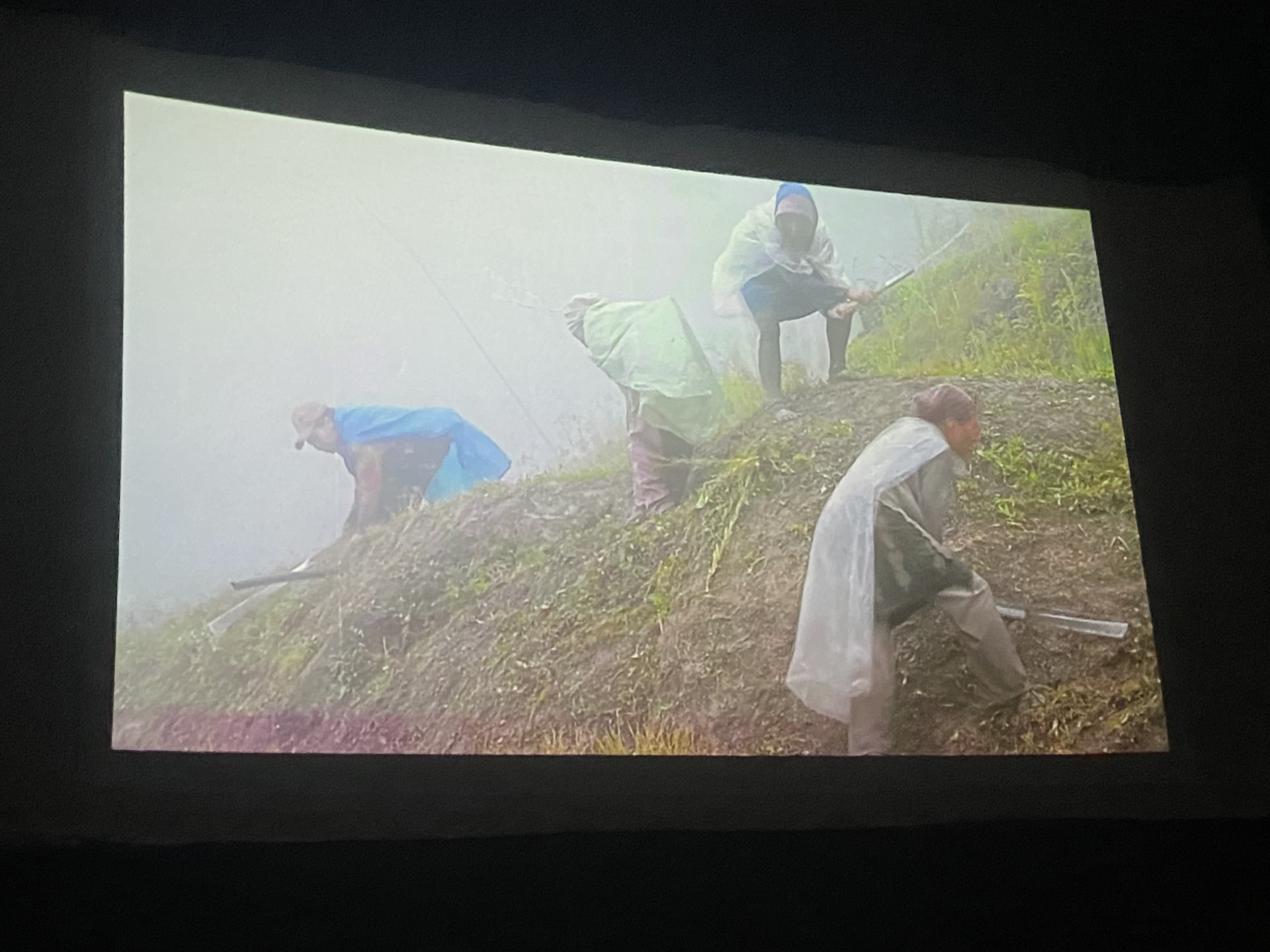 Bu yıl ilki gerçekleştirilecek olan Bandırma Ekoloji Film Festivali başladı.