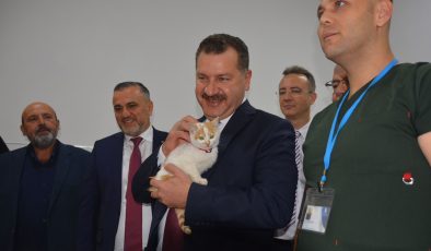 Bandırma’da sokak hayvanlarına Büyükşehir’in eli değdi