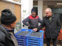 Gemlik Belediye Başkanı Mehmet Uğur Sertaslan çiftçiler için çalışmaya devam