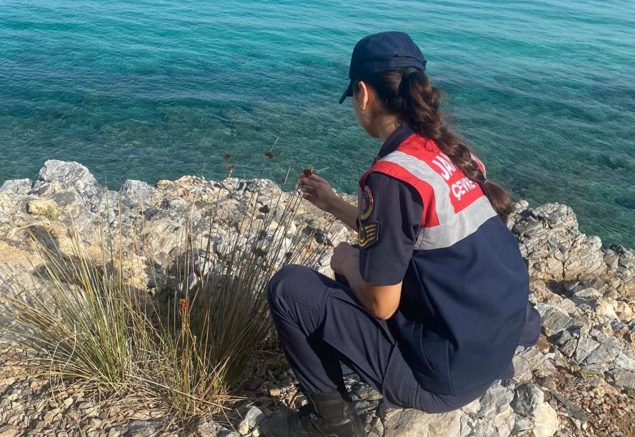 Aydın İl Jandarma Komutanlığı Çevre, Doğa ve Hayvanları Koruma Tim