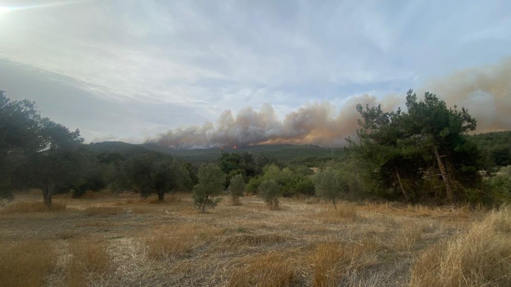 Çanakkale’deki orman yangını Çanakkale’nin Gelibolu ilçesinde ormanlık alanda çıkan yangın devam ediyor. Ekipler,