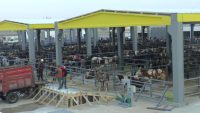 Kayseri Ticaret Borsası tarafından yaptırılan İç Anadolu’nun en büyük Canlı