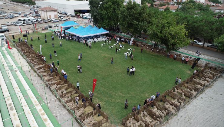 Büyükşehir Belediyesi’nden Tarıma Güçlü Destek’