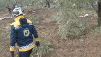 Suriye’de Beşar Esad rejiminin İdlib’in Kokfin köyünde zeytin toplayan tarım