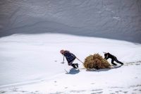 Gölcük Belediyesinin düzenlediği “Yardımlaşma” konulu fotoğraf yarışmasına 50 farklı ilden