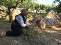Bayburt’ta törenlerin, şölenlerin, bayramların, düğünlerin vazgeçilmez eğlencelerinden biri olan ‘Deve