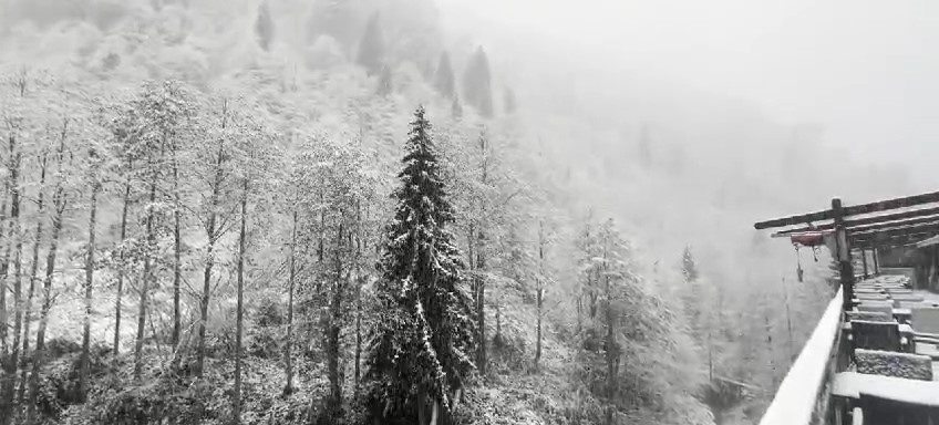 Rize’nin yüksek kesimlerine kar yağdı Rize’de hava sıcaklıklarının düşmesiyle beraber yüksek kesimler beyaza büründü.Rize’de hava