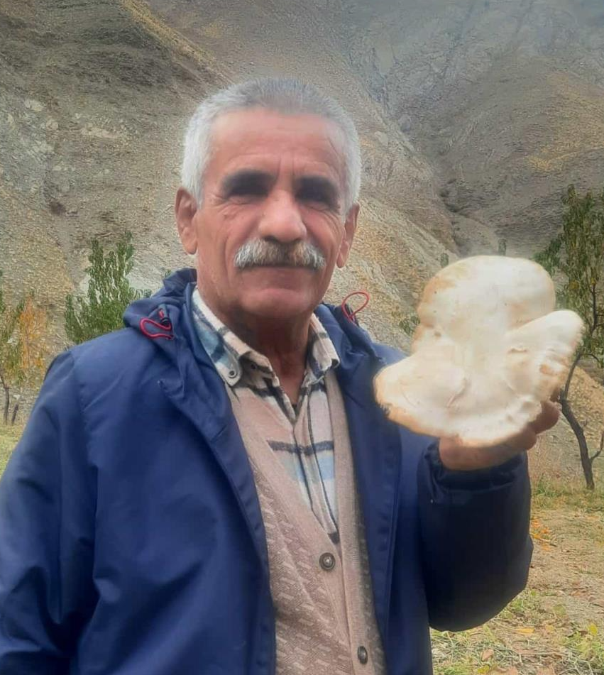 Hakkari’de kasım ayında mantar topladılar Hakkarili dağcı ve doğa fotoğrafçısı Esat Kılıç, kasım ayında çaşır