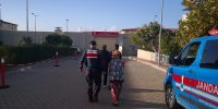 Balıkesir’in Edremit ilçesinde zeytin nöbeti devam ederken jandarma timleri zeytin