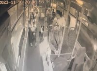 Kocaeli’nin Gebze ilçesinde durakta duran halk otobüsüne köpek bindi. Köpeğin