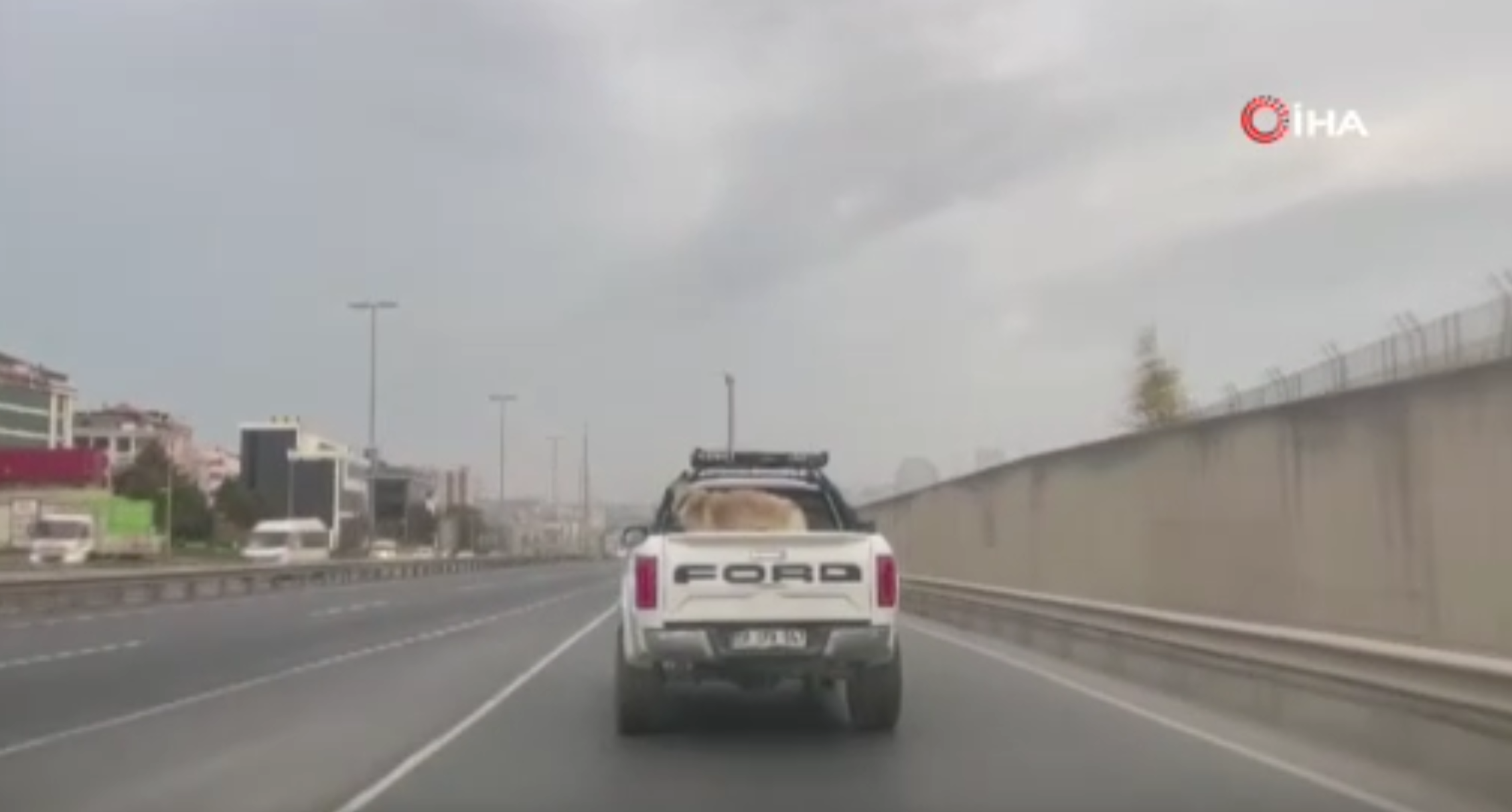 Beylikdüzü E-5’te köpeğini kamyonetin kasasına bağlayarak seyreden sürücü kameralara yansıdı.Olay,