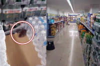 Sakarya’nın Adapazarı ilçesinde market alışverişi yapmak için BİM’e giren bir